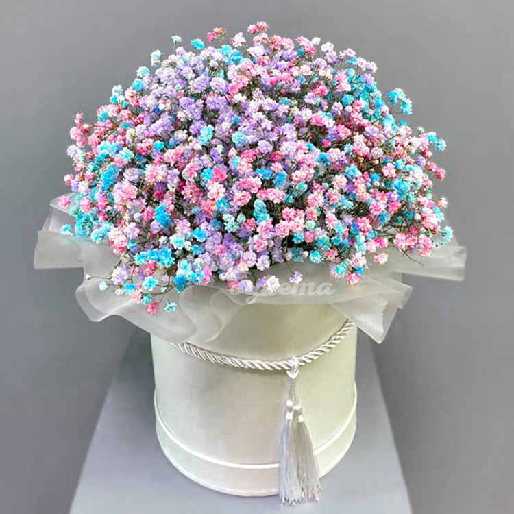 5 разноцветных гипсофил в коробке