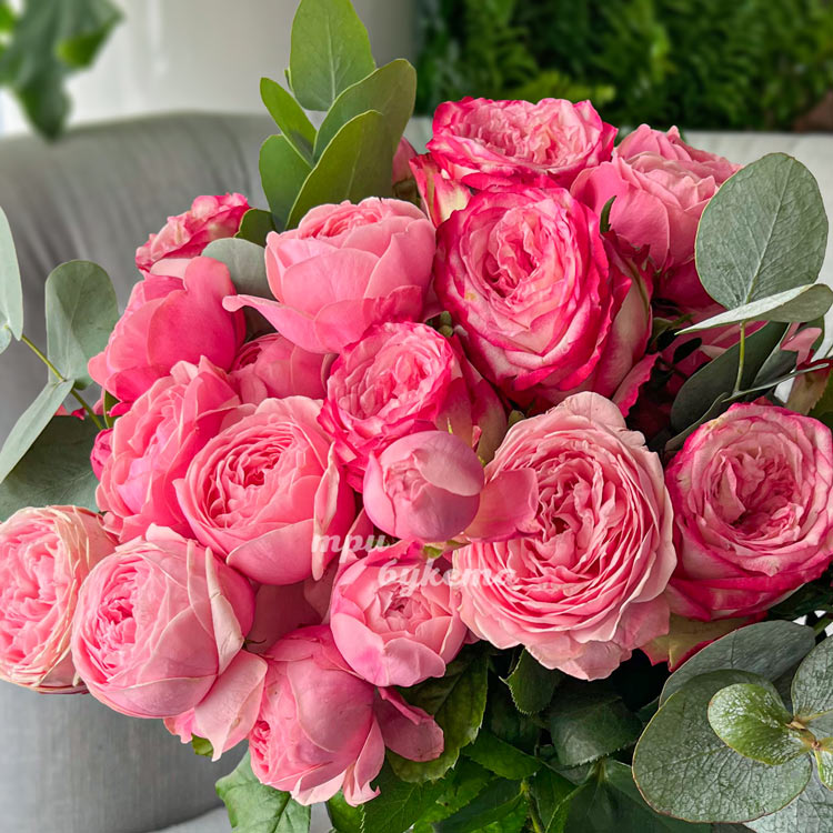 Букет 9 розовых пионовидных роз Сильва