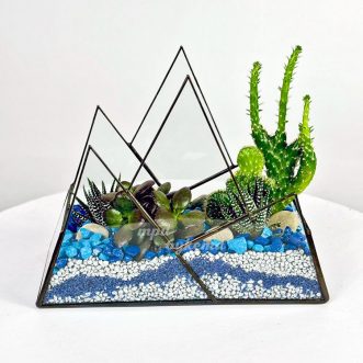 Флорариум с синими камешками, кактусами и суккулентами